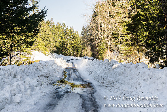 Lost lake Rd with Snow