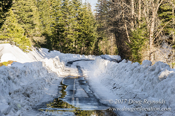 Lost lake Rd with Snow