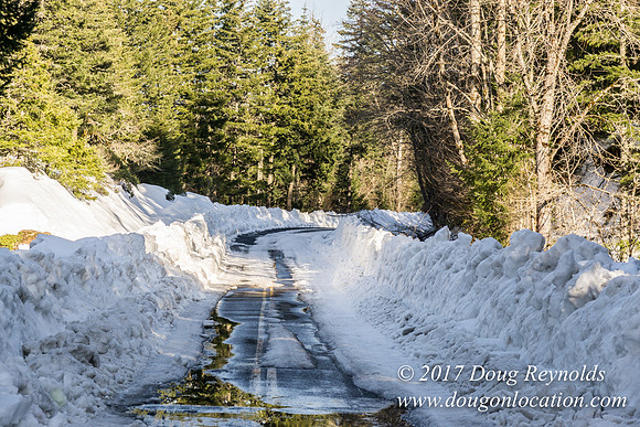 Lost lake Rd with Snow
