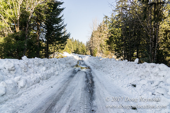 Lost lake Rd with Snow