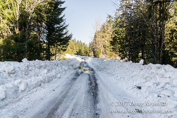 Lost lake Rd with Snow