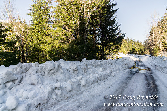 Lost lake Rd with Snow