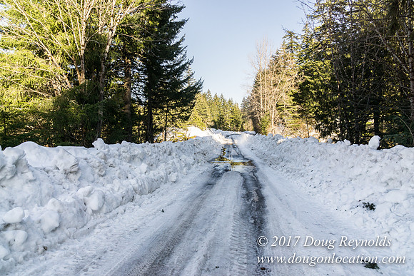 Lost lake Rd with Snow