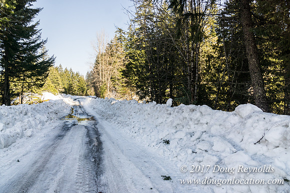 Lost lake Rd with Snow