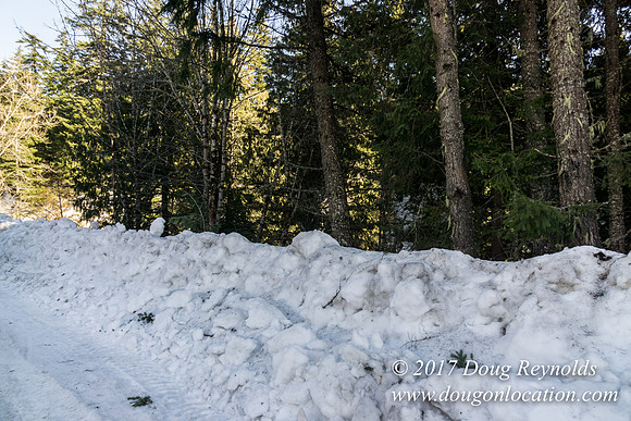Lost lake Rd with Snow