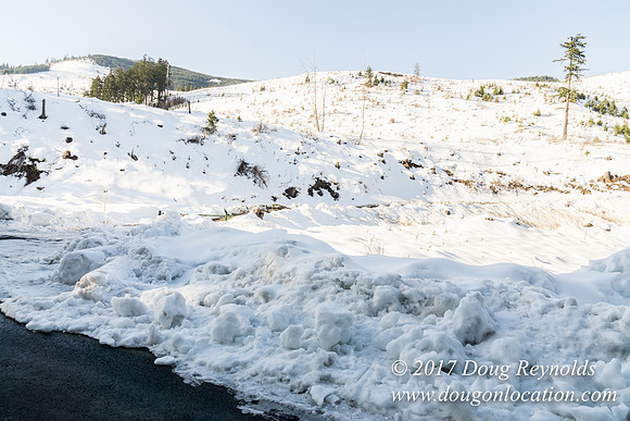 Lost lake Rd with Snow