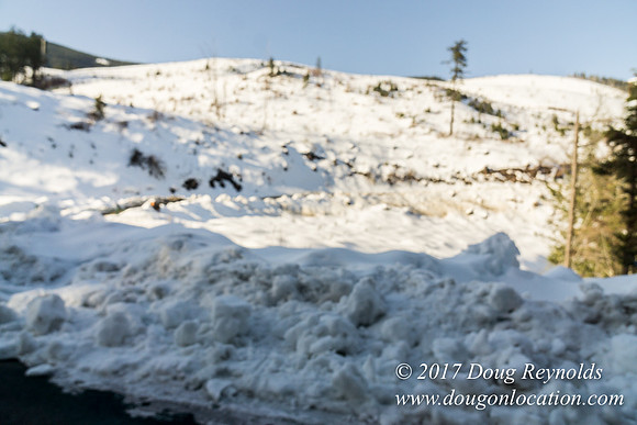 Lost lake Rd with Snow