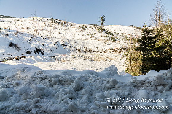Lost lake Rd with Snow