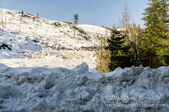 Lost lake Rd with Snow
