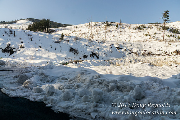 Lost lake Rd with Snow