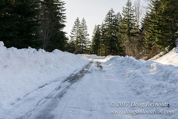 Lost lake Rd with Snow