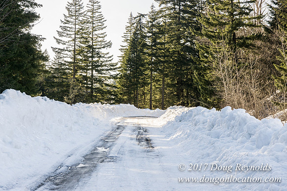 Lost lake Rd with Snow