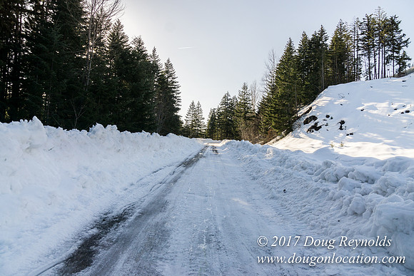 Lost lake Rd with Snow