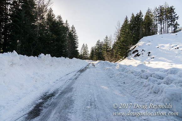 Lost lake Rd with Snow