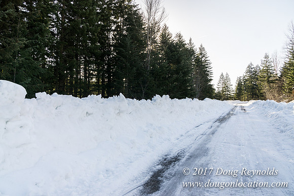 Lost lake Rd with Snow