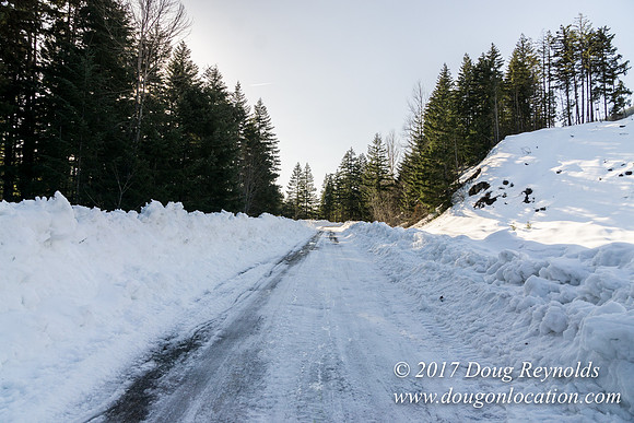 Lost lake Rd with Snow