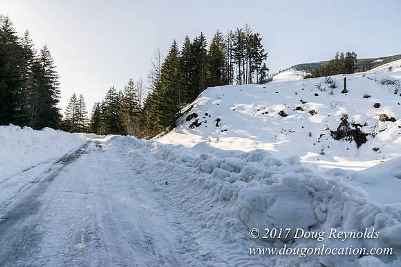 Lost lake Rd with Snow