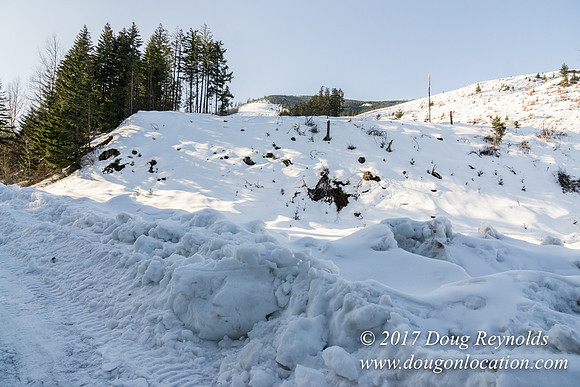 Lost lake Rd with Snow