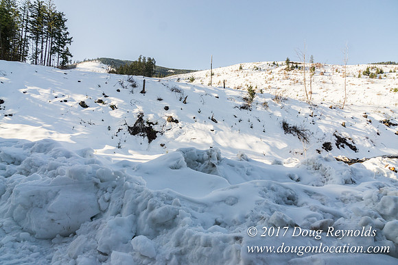 Lost lake Rd with Snow