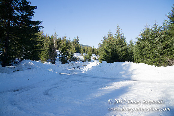 Lost lake Rd with Snow
