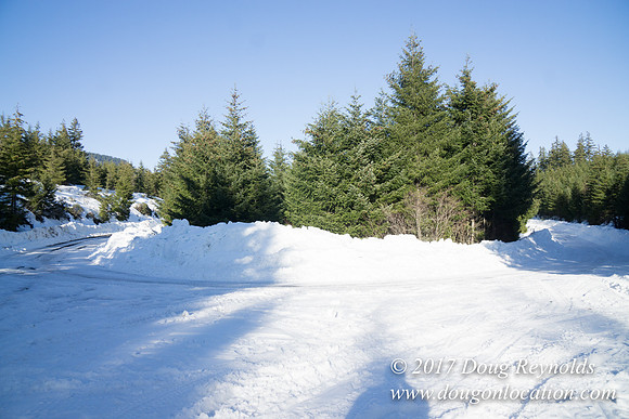 Lost lake Rd with Snow