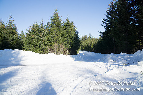 Lost lake Rd with Snow