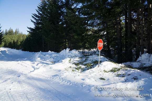 Lost lake Rd with Snow