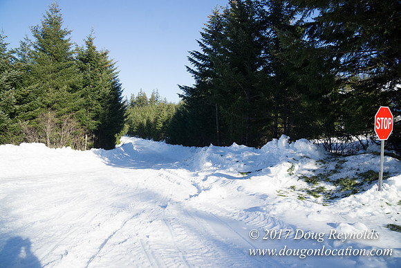 Lost lake Rd with Snow
