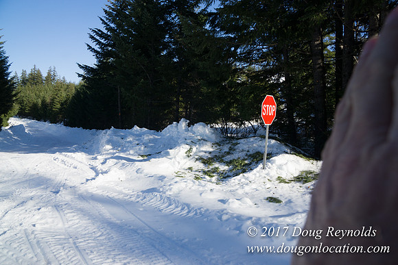 Lost lake Rd with Snow