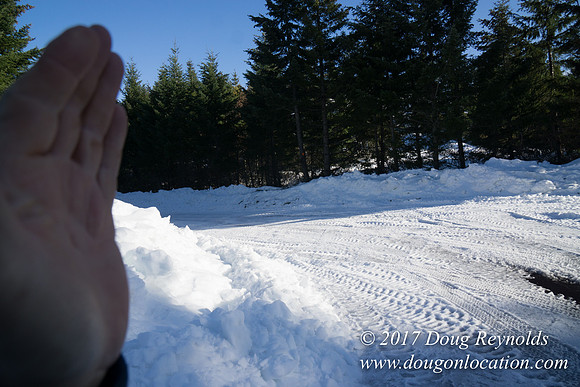 Lost lake Rd with Snow