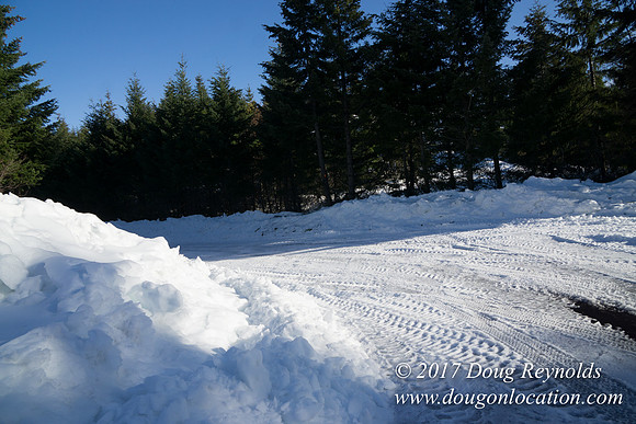 Lost lake Rd with Snow