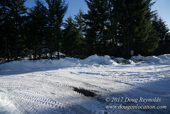 Lost lake Rd with Snow