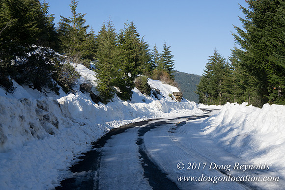 Lost lake Rd with Snow