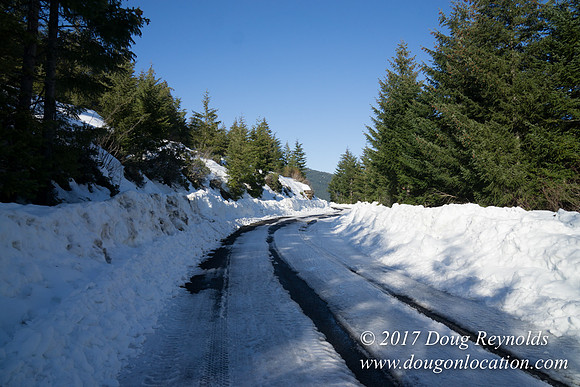 Lost lake Rd with Snow