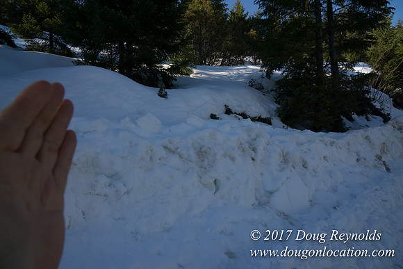 Lost lake Rd with Snow