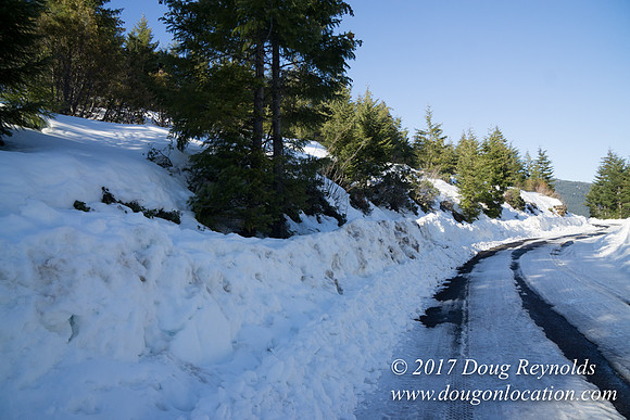 Lost lake Rd with Snow