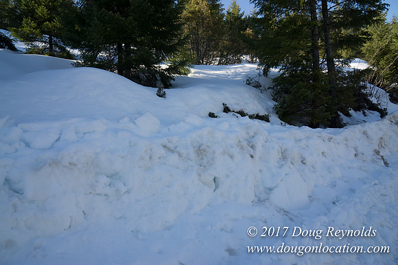 Lost lake Rd with Snow