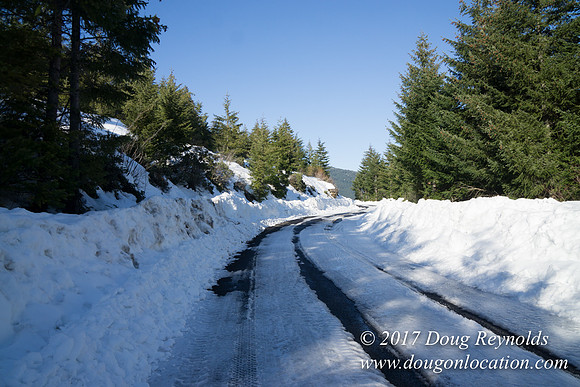 Lost lake Rd with Snow