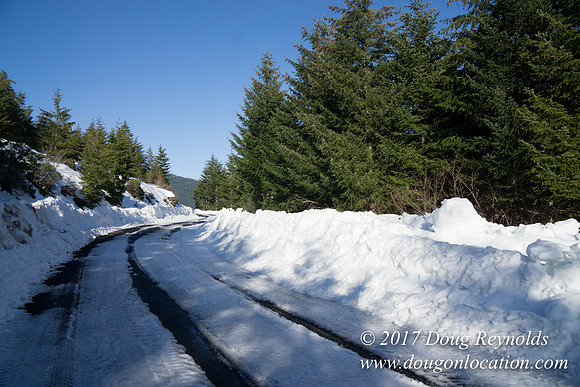Lost lake Rd with Snow