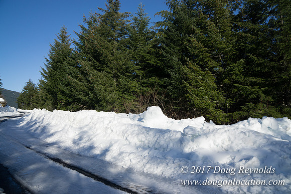 Lost lake Rd with Snow