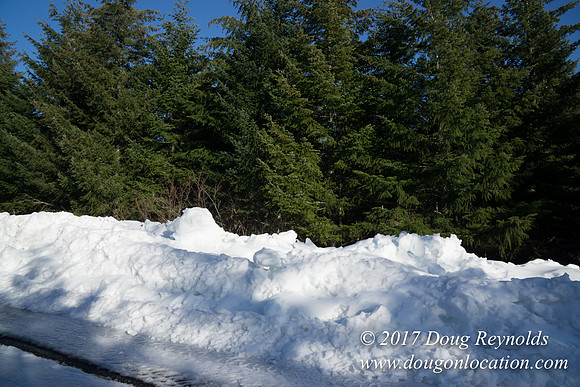 Lost lake Rd with Snow