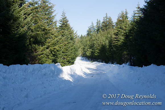 Lost lake Rd with Snow