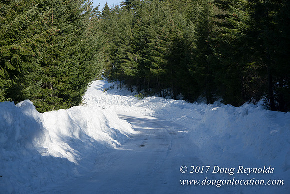 Lost lake Rd with Snow