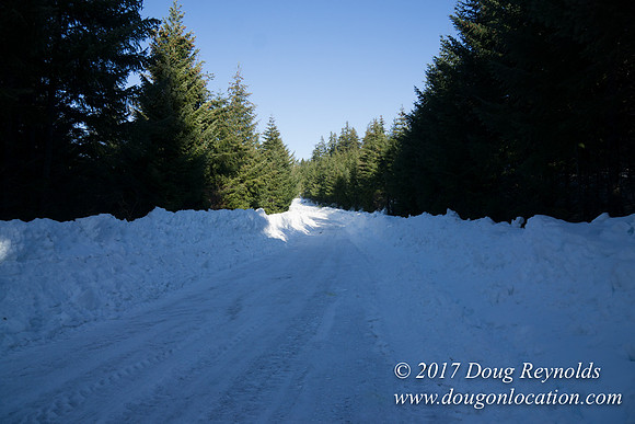 Lost lake Rd with Snow