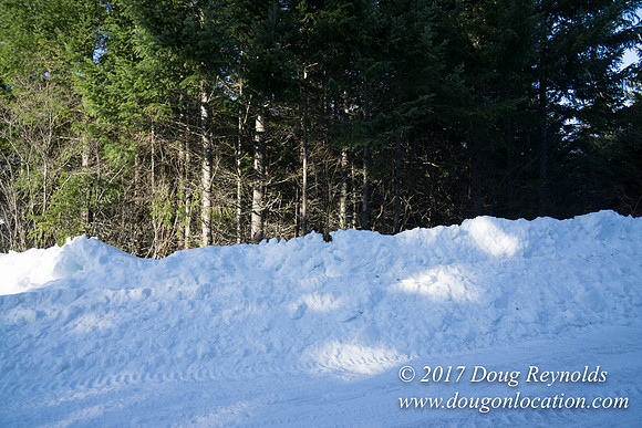 Lost lake Rd with Snow