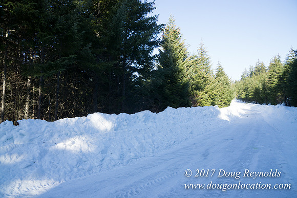 Lost lake Rd with Snow
