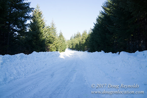 Lost lake Rd with Snow