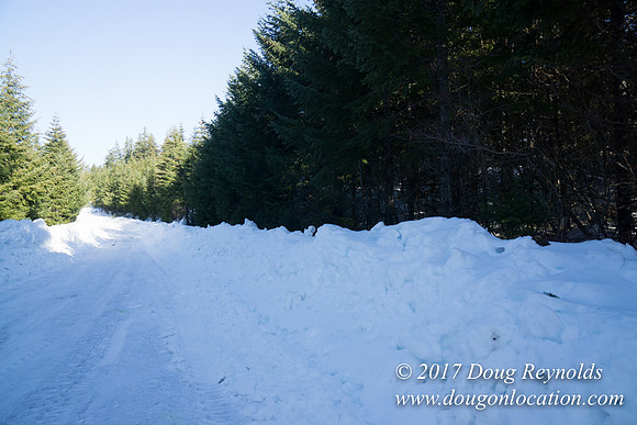 Lost lake Rd with Snow