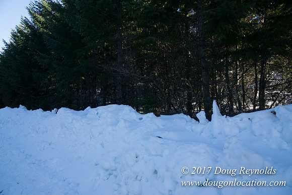 Lost lake Rd with Snow