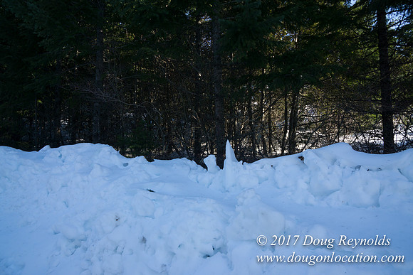 Lost lake Rd with Snow